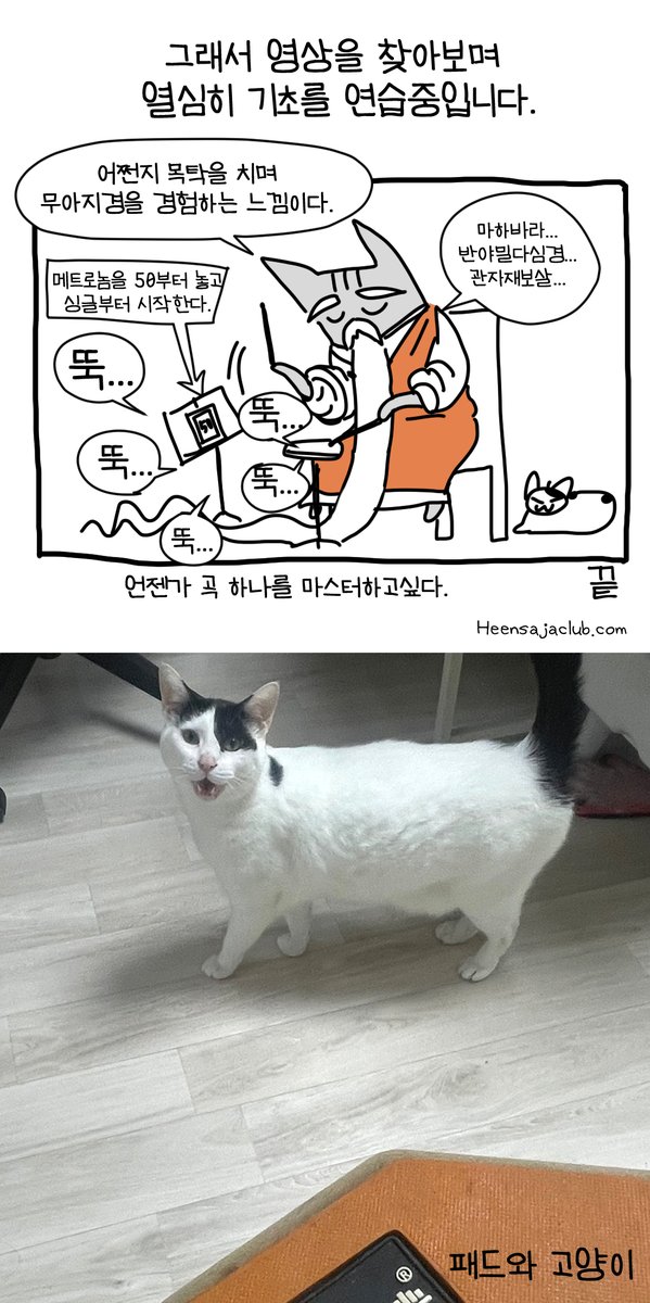 드럼 패드와 왕초보와 고양이 #뚝뚝만화데일리 