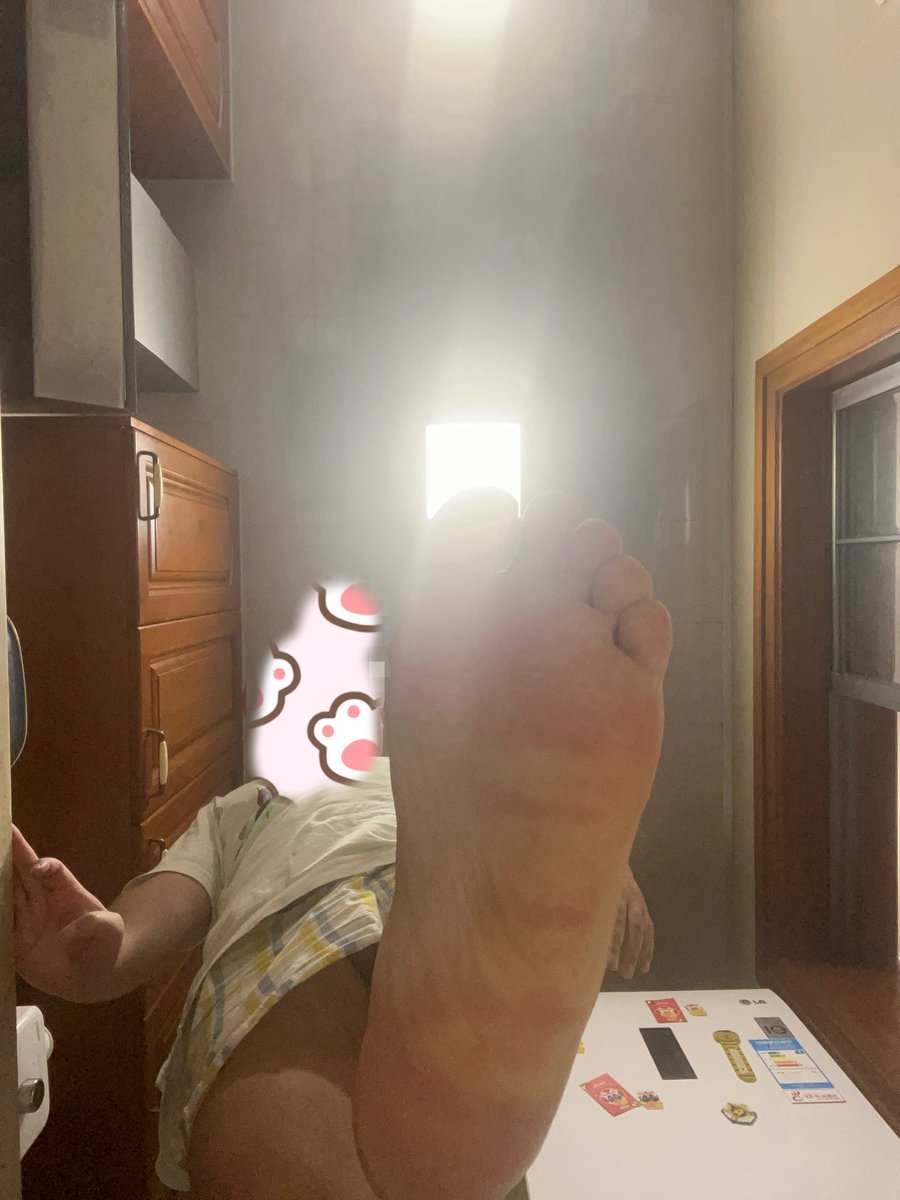 小熊彬彬 tweet media