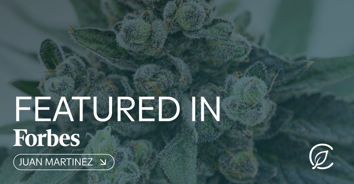 Proud to be featured in <a href="/Forbes/">Forbes</a> as a leader in Europe’s rapidly growing medical cannabis sector.

Europe holds significant opportunities for sustainable growth and expanding access to high-quality cannabis medicines for millions of patients.

Our Head of International, Juan