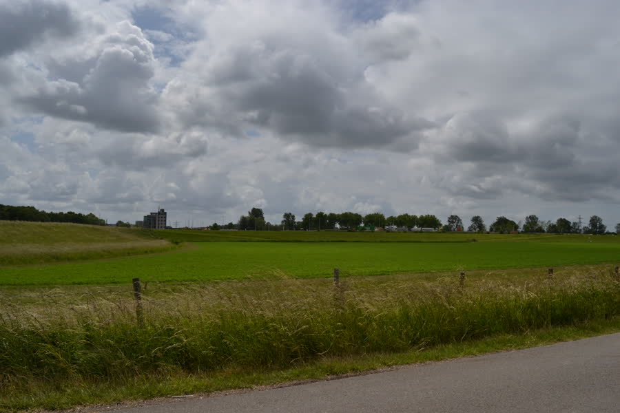 LINQ Media tweet media