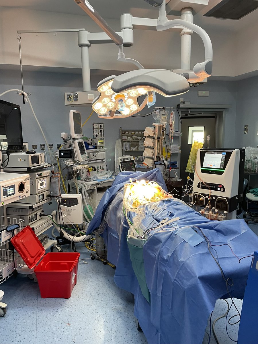 Alvaro Arjona (@alarjosan) on Twitter photo What surgeons can do in local advanced colon cáncer? Laparoscopic D3 resection and simultaneous HIPEC could be an option <a href="/HUReinaSofia/">Hospital Universitario Reina Sofía</a> <a href="/IMIBIC/">IMIBIC</a> <a href="/aecirujanos/">aecirujanos</a> <a href="/GrupoTTD/">Grupo Español de Tratamiento de Tumores Digestivos</a> <a href="/escp_tweets/">European Society of Coloproctology</a> <a href="/ContraCancerEs/">Asociación Española Contra el Cáncer</a> <a href="/myESMO/">ESMO - Eur. Oncology</a> What surgeons can do in local advanced colon cáncer? Laparoscopic D3 resection and simultaneous HIPEC could be an option <a href="/HUReinaSofia/">Hospital Universitario Reina Sofía</a> <a href="/IMIBIC/">IMIBIC</a> <a href="/aecirujanos/">aecirujanos</a> <a href="/GrupoTTD/">Grupo Español de Tratamiento de Tumores Digestivos</a> <a href="/escp_tweets/">European Society of Coloproctology</a> <a href="/ContraCancerEs/">Asociación Española Contra el Cáncer</a> <a href="/myESMO/">ESMO - Eur. Oncology</a>