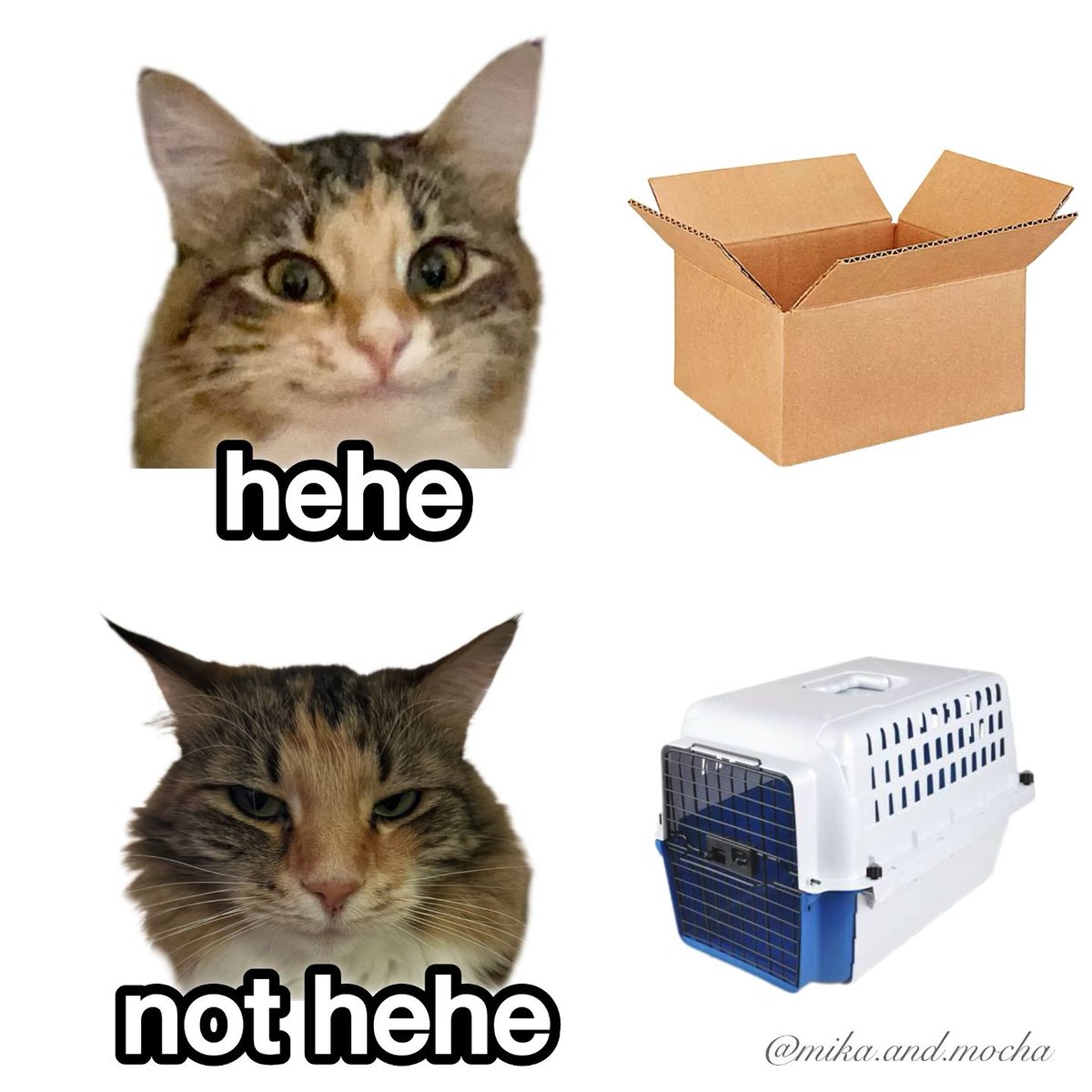 Trust issues: how they're formed