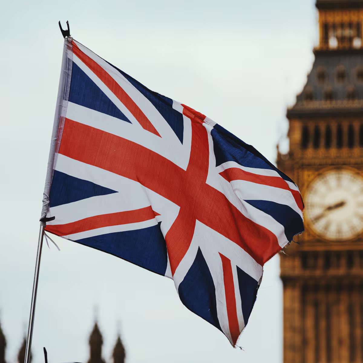 Dua Lipa signed an open letter urging the UK to suspend arms sales to Israel.