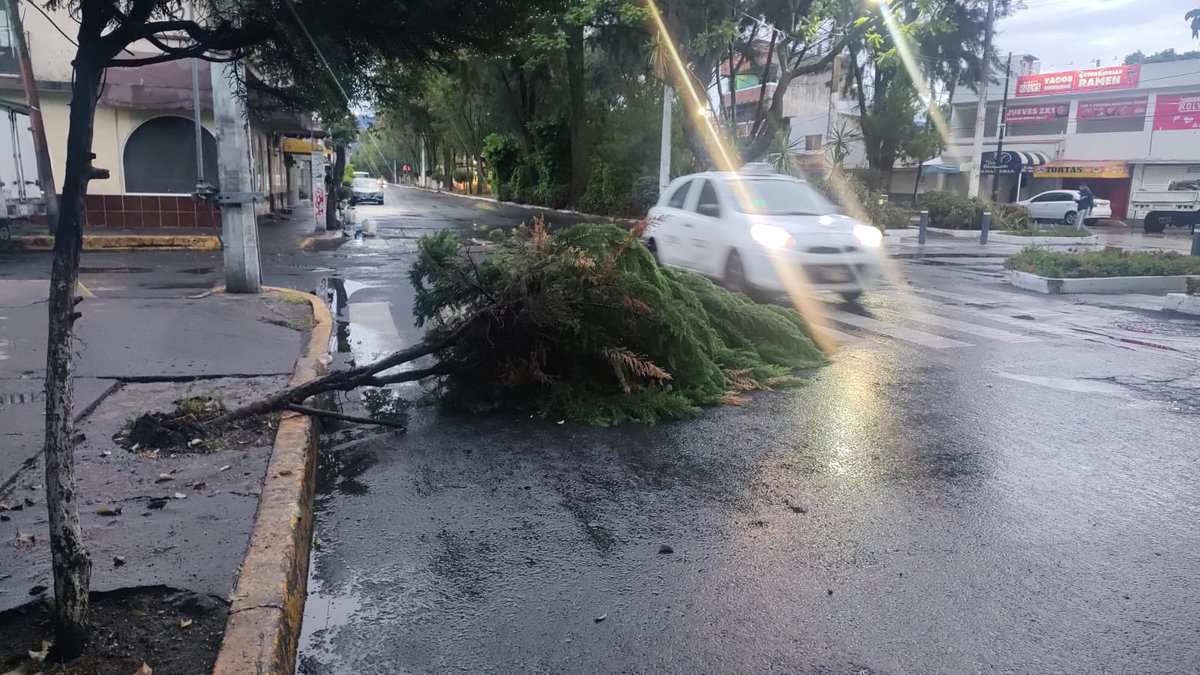 CiudadanosActivosR (@ciudactivos) on Twitter photo Tengan precaución al circular por Av de las Torres, árbol caído en esquina con Peñarol colonia Arboledas del Sur <a href="/TlalpanAl/">Alcaldía Tlalpan</a> Tengan precaución al circular por Av de las Torres, árbol caído en esquina con Peñarol colonia Arboledas del Sur <a href="/TlalpanAl/">Alcaldía Tlalpan</a>