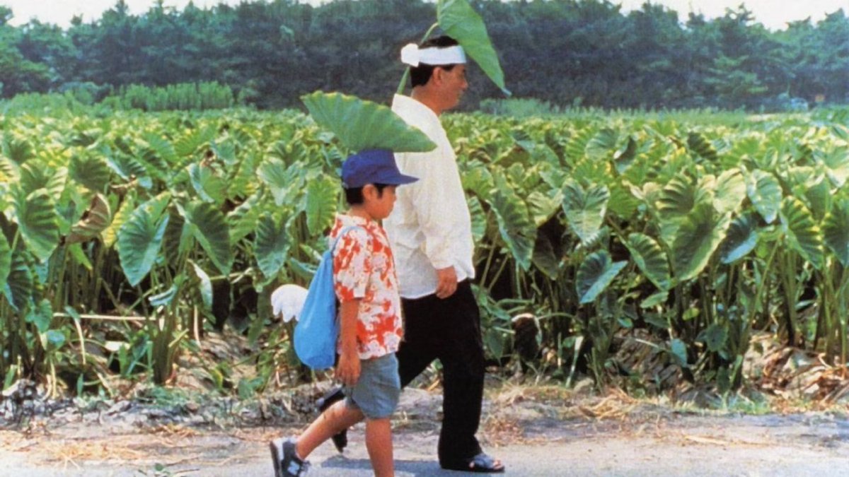 Your Foxmom, Niamh 🍵🎼 tweet media