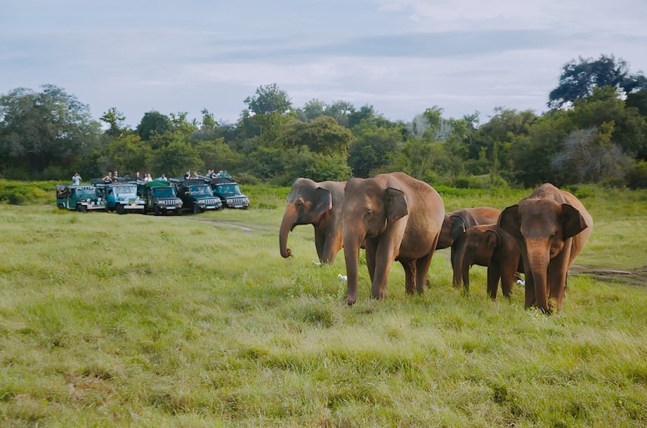 এই মাসে রাজ্য সরকারের দ্বারা গৃহীত কিছু ছোট পর্যটন উদ্যোগ:

⋄ বেলপাহাড়ির সাদা পাহাড় অঞ্চলের অবকাঠামো উন্নয়ন এবং প্রচার, ঝাড়গ্ৰাম।

⋄ বক্সা পাহাড়ে ইকো ট্যুরিজমের ও এলিফ্যান্ট সাফারির পুনরুজ্জীবন, আলিপুরদুয়ার।

⋄ কলকাতার আলিপুরের জুলজিক্যাল গার্ডেনে প্রজাপতির বাগানের