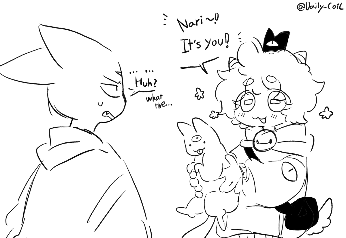 daily COTL tweet media