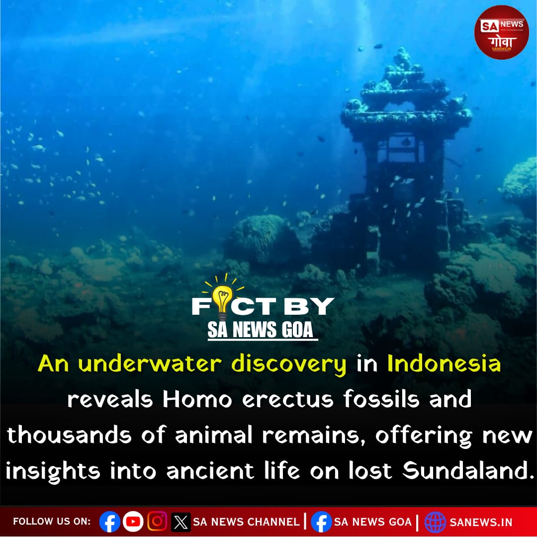 🌊 Underwater Fossil Breakthrough!
Scientists find Homo erectus skull fragments off Indonesia — 1st underwater hominin site in SE Asia.
📍 Madura Strait
🦴 6,000+ fossils incl. Komodo dragons &amp; Stegodon
🛠️ Tool marks hint at early butchery
#Archaeology #HomoErectus #HumanOrigins