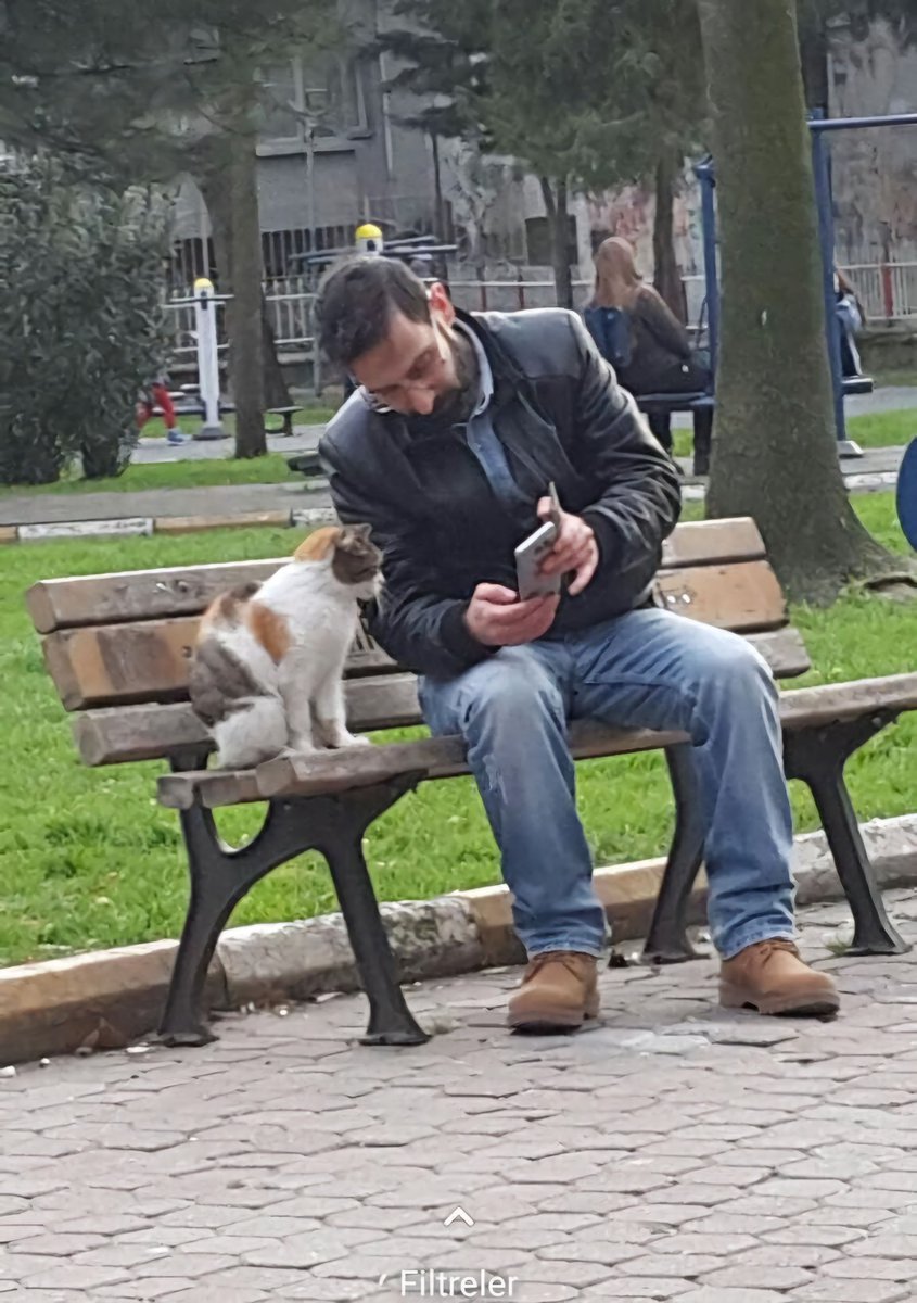 Average day in Istanbul