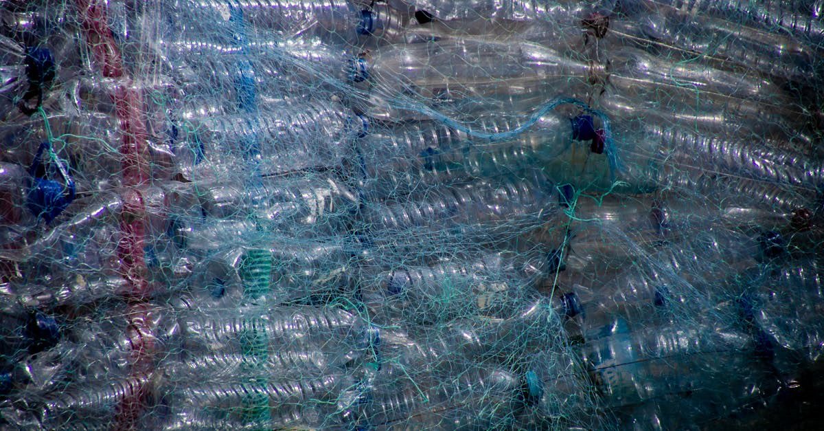 Zac4375's tweet photo. 🌏 L'Avenir C'EST MAINTENANT ! Avec AMPLIVO, je transforme les déchets plastiques en opportunités de croissance. Technologie de pointe + réseau dynamique = IMPACT DURABLE ! Rejoignons la révolution plastique ! 🚀 #InnovonsEnsemble #Blockchain #ImpactDurable #mlm https://t.co/roFR9NTXct