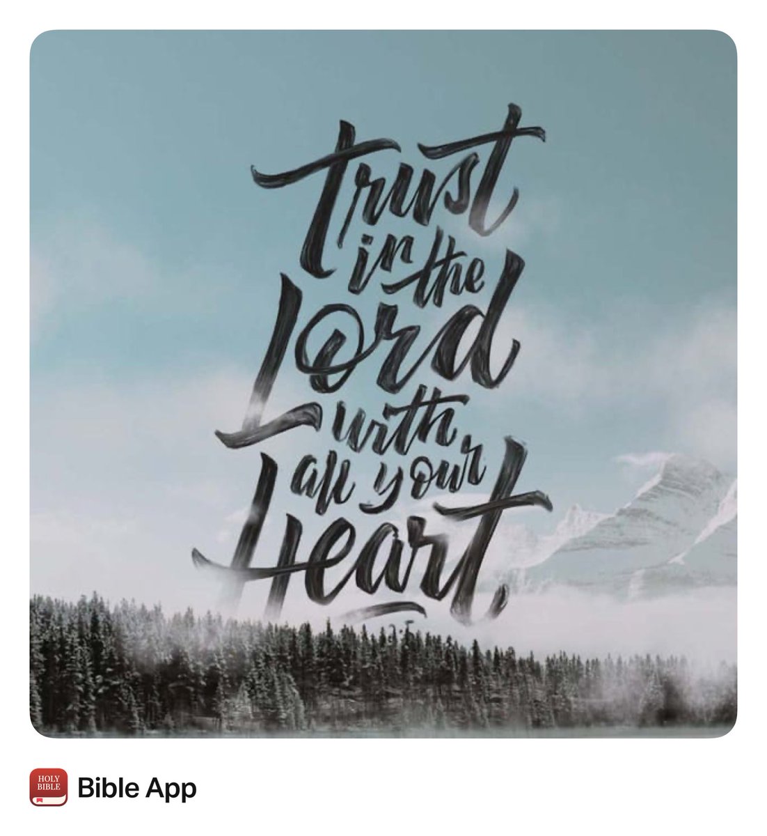 dmuck10's tweet image. 