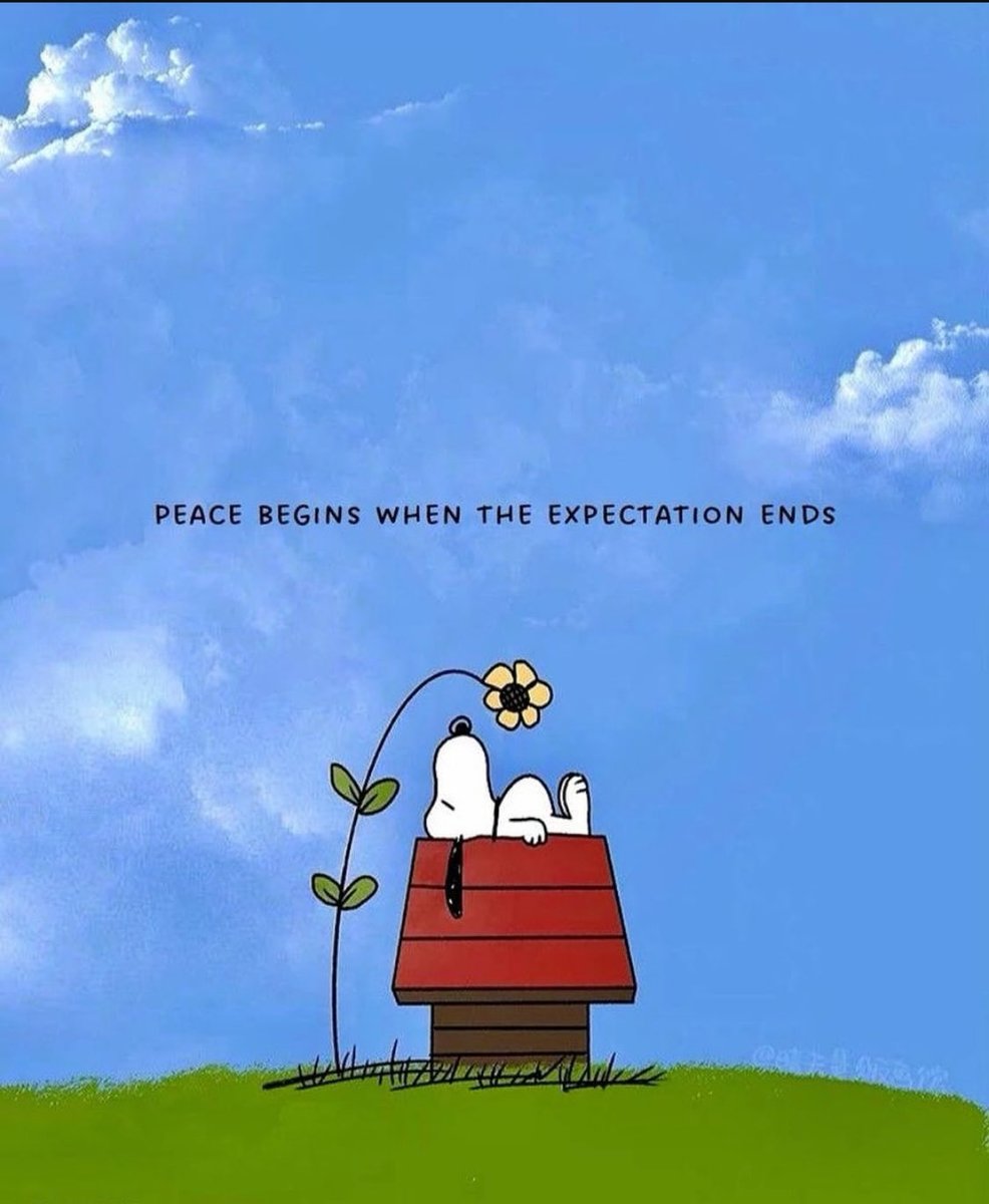 Let’s have a peaceful Thursday, lovely people

❤️