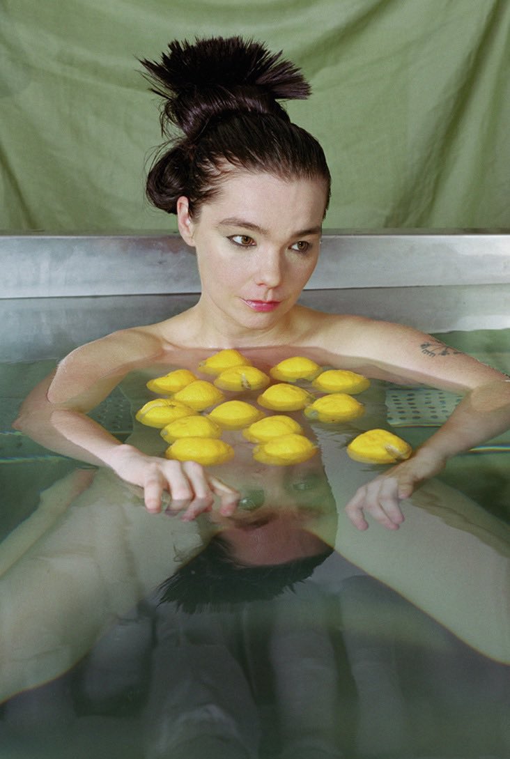 Björk, Drawing Restraint 9, 2005