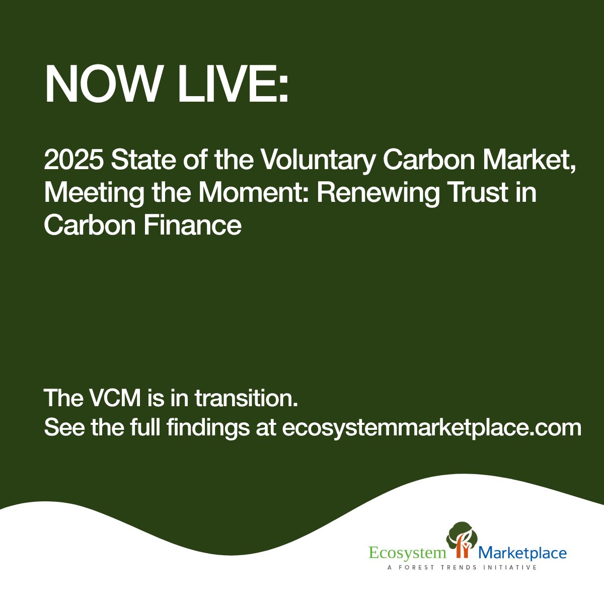 ❗NEW REPORT❗Our 2025 State of the Voluntary Carbon Market report is now live! 
 
The voluntary carbon market is in transition, and data suggest that underlying demand remains resilient even amid broader market pressures.

See our full findings at ecosystemmarketplace.com/publications/2…