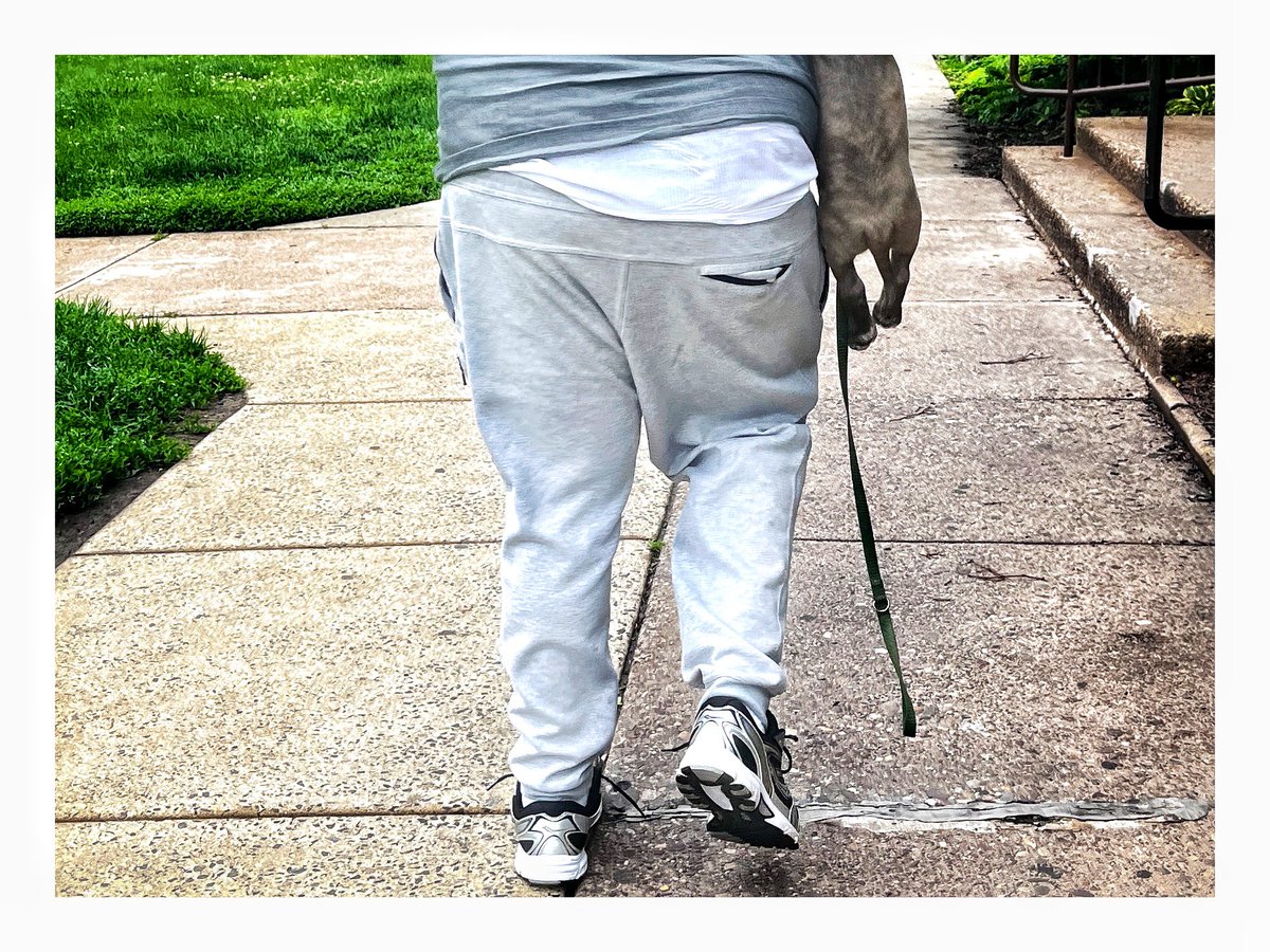 storyrd's tweet image. On Assignment @CBSPhiladelphia  / @PSPCA / #petproject #gooddoggie / 📷 @storyrd