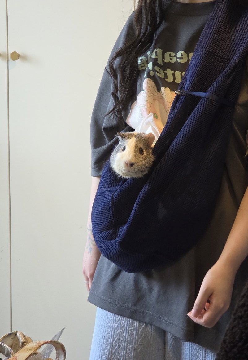 이런느낌의 외출..기니주머니..(묵직함)