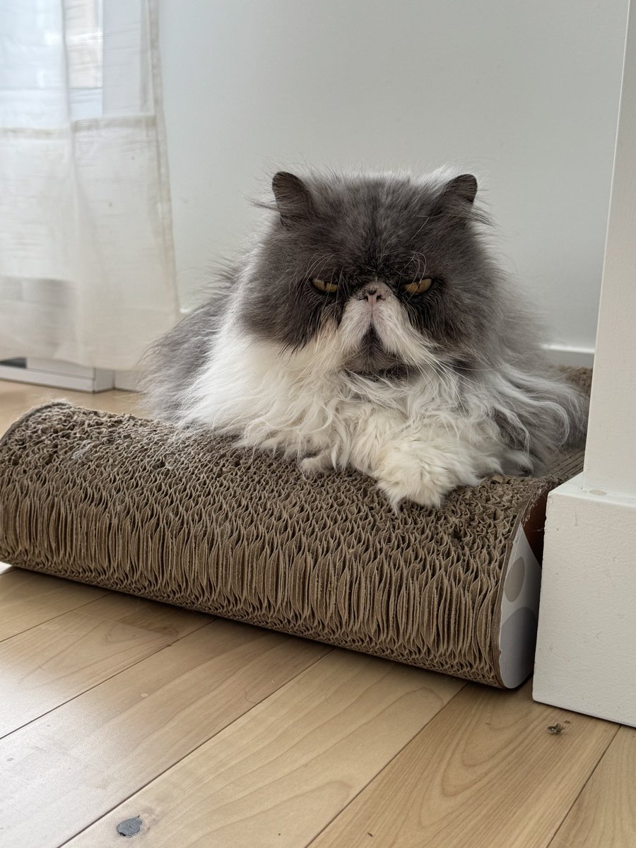 Güenos dias Amikos! Los ando vigilando qe de verdad estén trabajando i ño sesten haciemdo como qe trabagan.