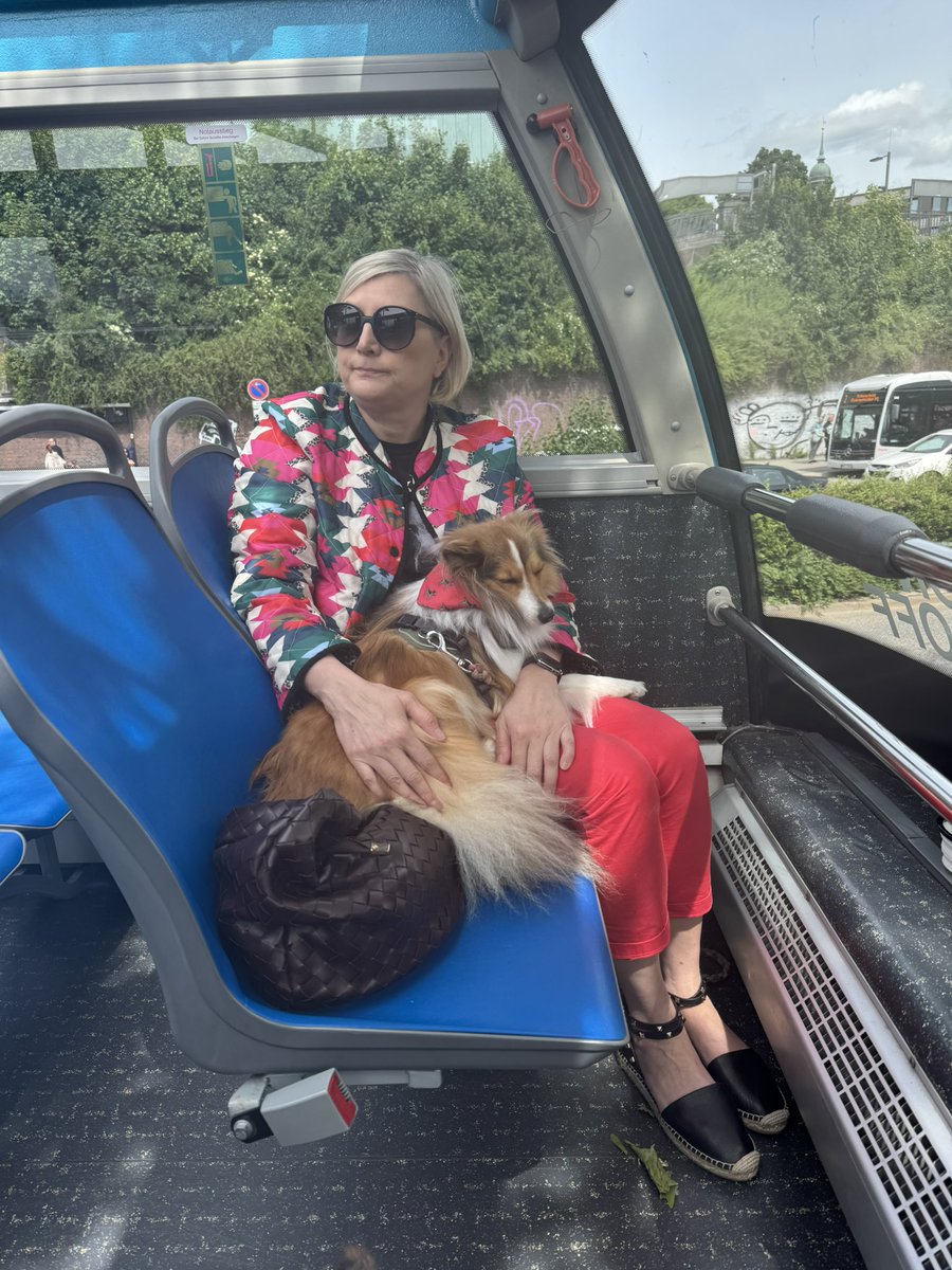 Ach, und wieder kommt der Dennis mit dem Spruch “Nur der HSV”🙄🙄
<a href="/SheltieHope/">Hope</a>  auf Hamburg Entdeckungsreise #hamburgcitytours 🤩🤩