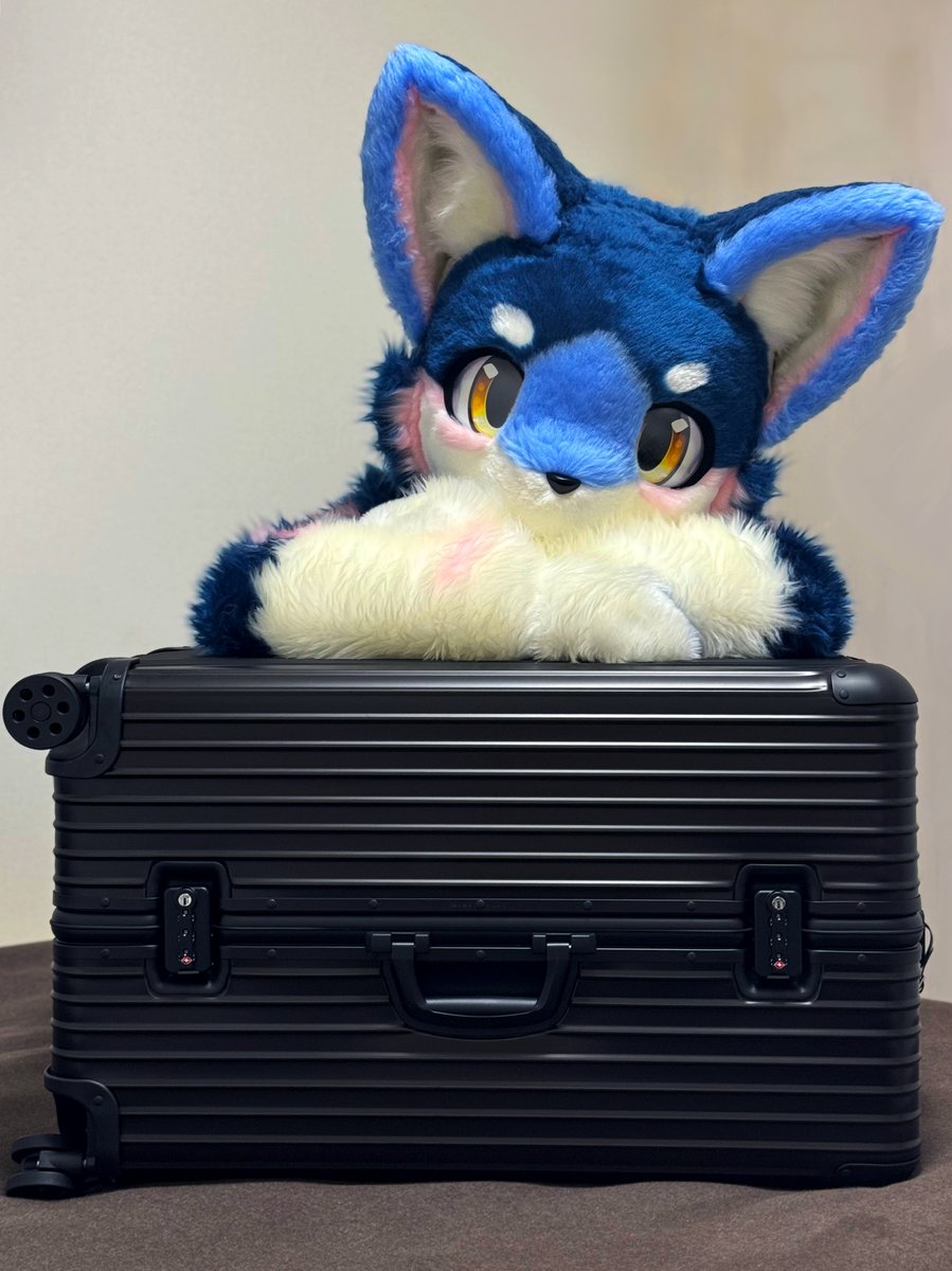 アジュア tweet media