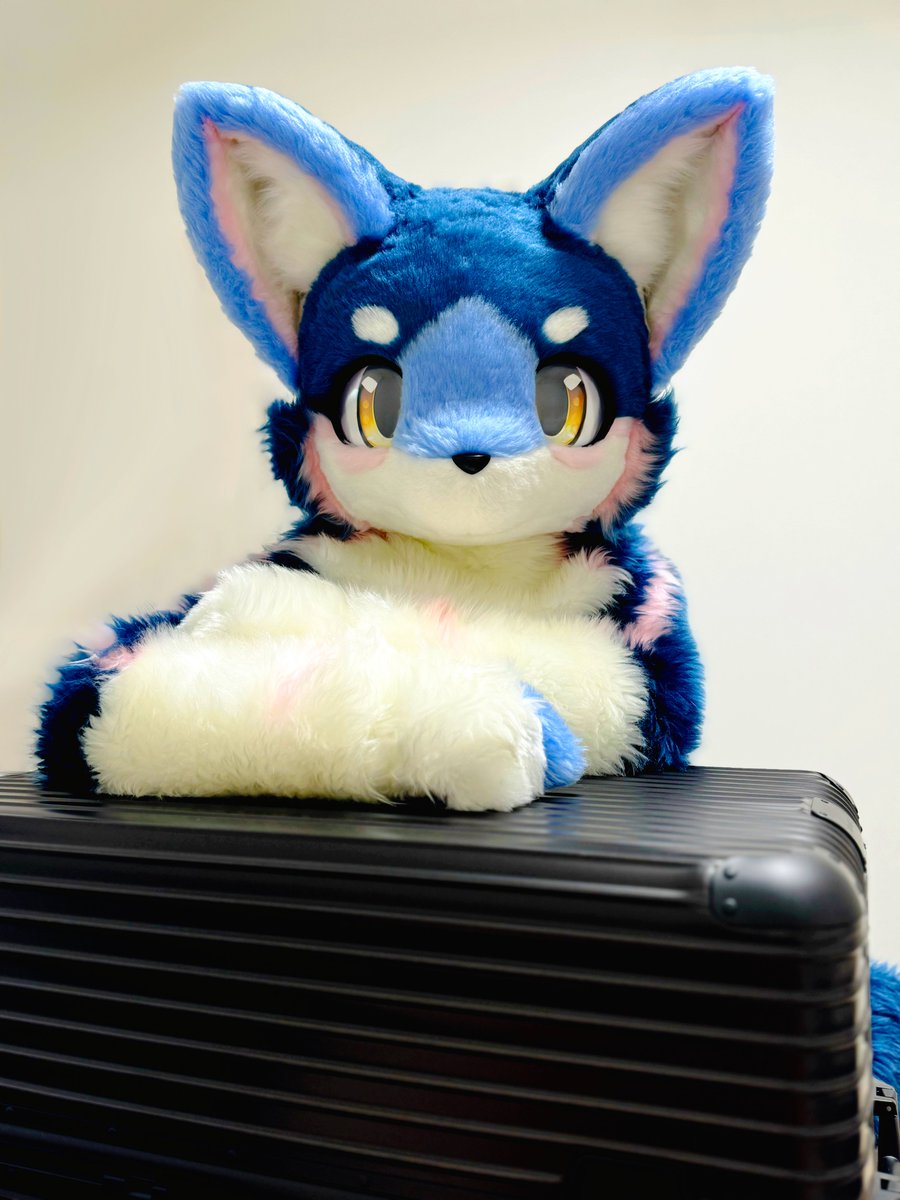 アジュア tweet media