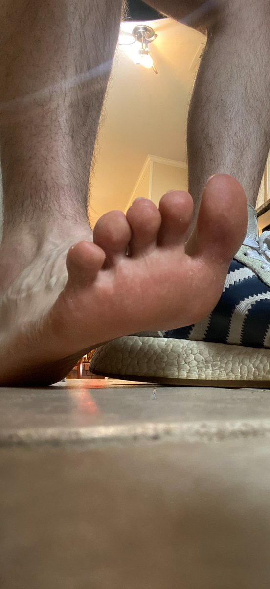 ShrunkSquashed's tweet photo. Barely glancing down, the giant crushed the bug under his foot and went back to his day like normal. 

Ft anonymouscorn from insta and Bluesky 

#macro #shrunk #shrinking #giant #giantmale #giantman #steppedon https://t.co/BhCNrTGRui
