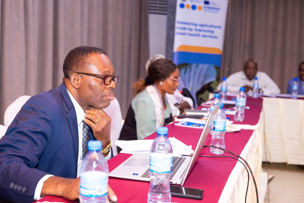 FAOTanzania's tweet photo. Today, @FAO convened the 3rd #STREPHIT Steering Committee meeting in Dodoma, chaired by Dr. Stephen Nindi, Deputy PS - @WizaraKilimo . The session focused on key milestones, challenges, and proposed solutions to strengthen plant health systems in ๐น๐ฟ https://t.co/cogQTMm7UM