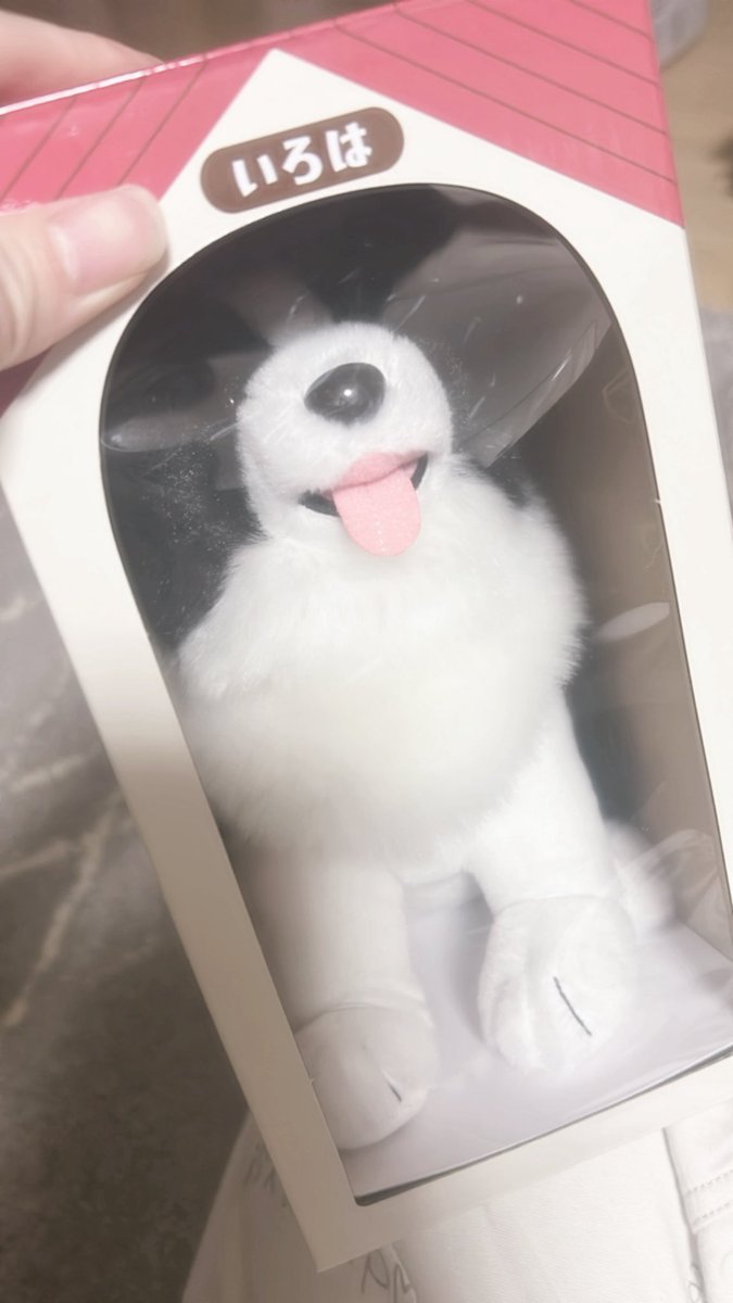 beam_unable's tweet photo. ついに我が家にもいろはが来た！🐶 https://t.co/VNVpxzEuIe