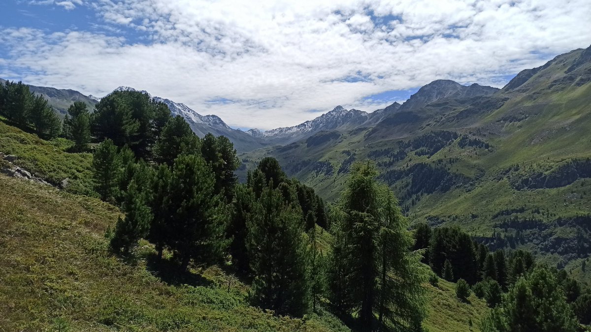 AleksandraWrbe4's tweet image. PHD STUDENT WANTED! ...to work in my project “How does animal-mediated seed dispersal affect range shifts of European beech in the Swiss Alps?”

All details provided in the link.  

*funded by National Science Centre in Poland (Sonata)
ibs.bialowieza.pl/ogloszenia/nab…
