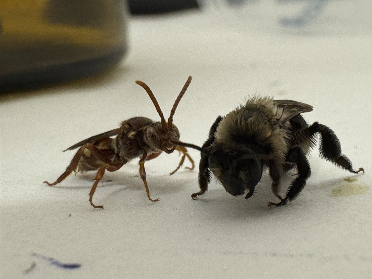 Late night shenanigans from yesterday XD