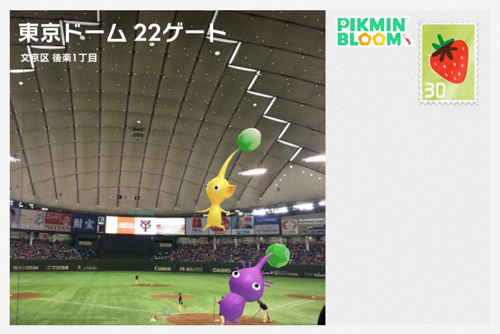 Mmin_bloom's tweet photo. 🐰🧡🐰🧡
#ピクミンブルーム　#PikminBloom https://t.co/BzQuVHZmqW