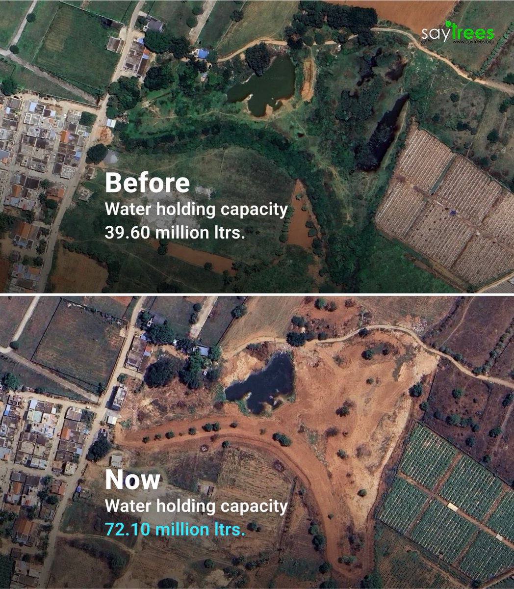 SayTrees tweet media