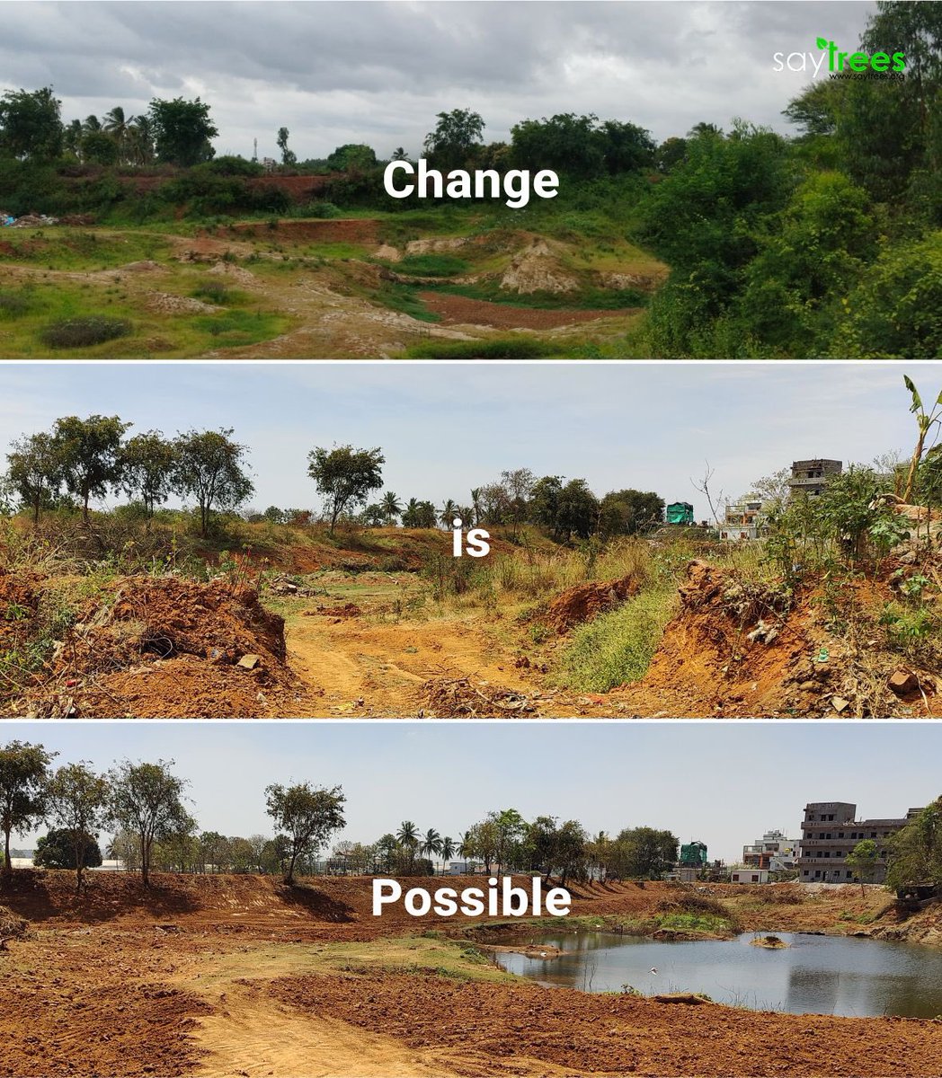 SayTrees tweet media