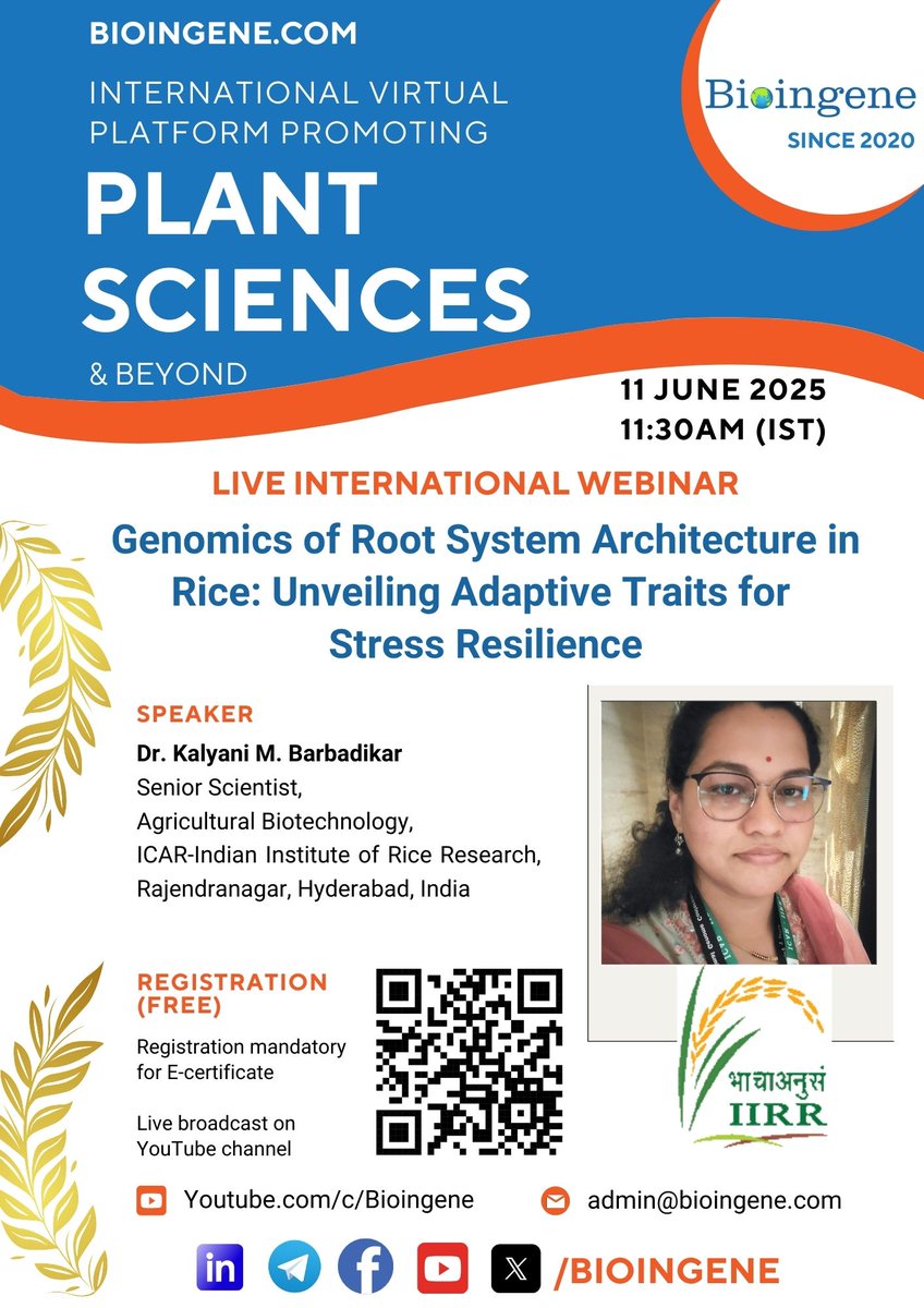 🌾 Webinar #72 | 🔬 Genomics of Root System in Rice
📅 11 June 2025 | 🕦 11:30 AM–1:30 PM IST
🎙️ Dr. Kalyani M. Barbadikar, ICAR-IIRR
✅ Free Reg: forms.gle/9qFNrRtJ5q3c3V…
📺 YouTube Live: youtube.com/live/74zAPeN74…
#PlantGenomics #RiceResearch #Bioingne #FreeWebinar #AgriScience