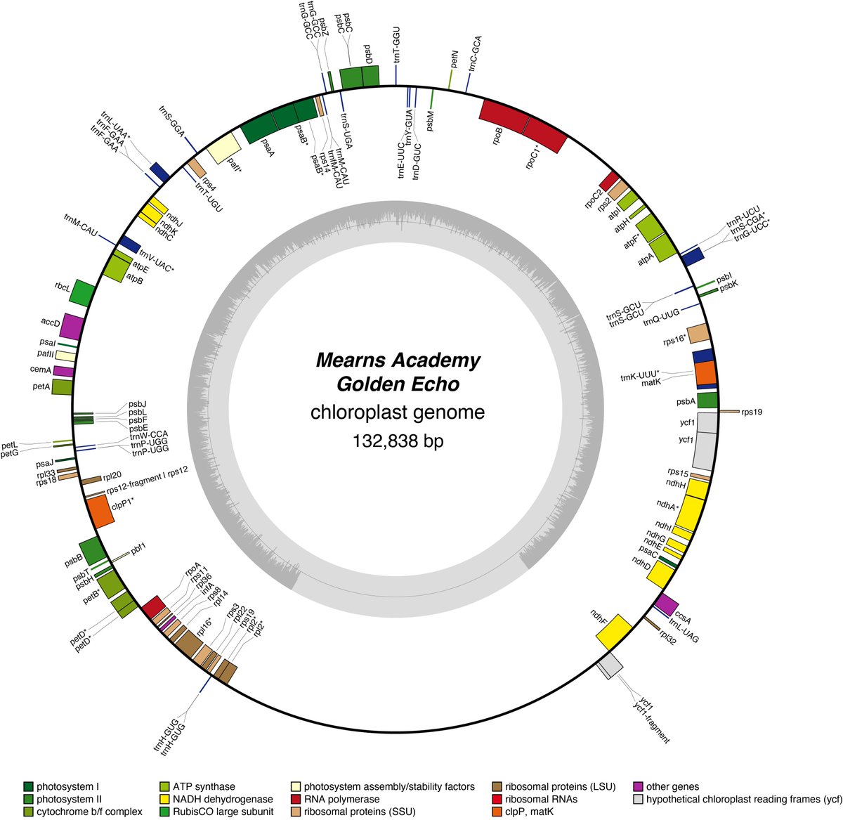 The Daffodil DNA Project (@daffdna) on Twitter photo Some more data hitting the results page thanks to <a href="/UoD_DAG/">UoD Bioinformatics/Data Analysis Group</a>
<a href="/royalsociety/">The Royal Society</a> #partnershipgrants <a href="/JamesHuttonInst/">James Hutton Institute</a> <a href="/UoDLifeSciences/">UoD Life Sciences</a> Some more data hitting the results page thanks to <a href="/UoD_DAG/">UoD Bioinformatics/Data Analysis Group</a>
<a href="/royalsociety/">The Royal Society</a> #partnershipgrants <a href="/JamesHuttonInst/">James Hutton Institute</a> <a href="/UoDLifeSciences/">UoD Life Sciences</a>