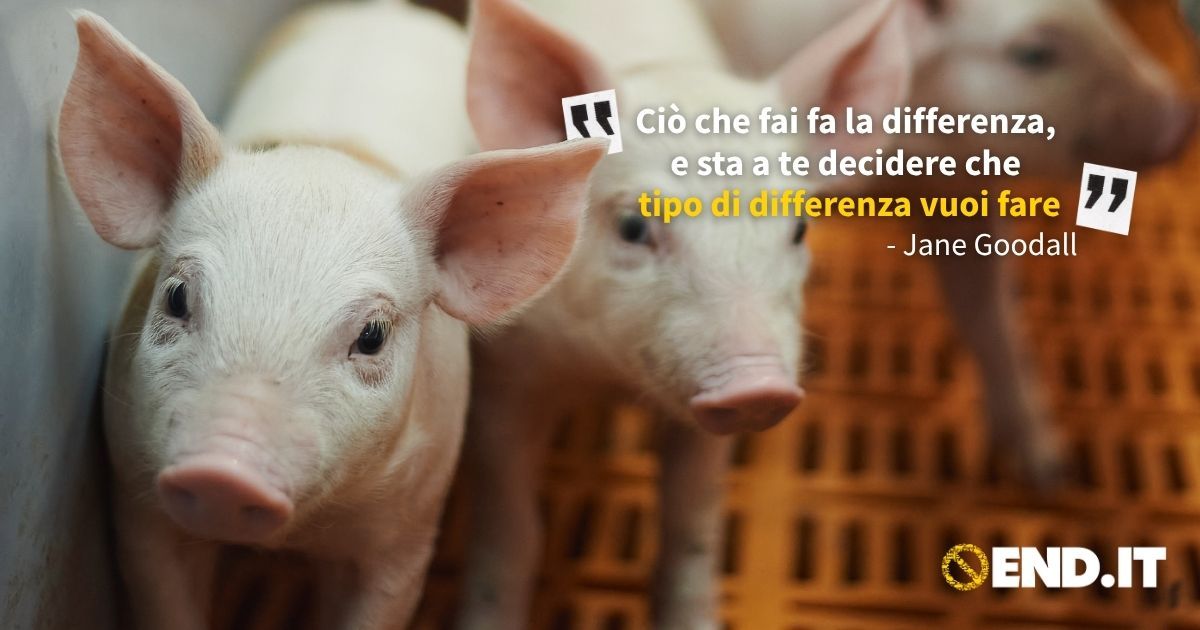 Ogni giorno prendiamo una serie di piccole decisioni apparentemente "insignificanti", eppure nessuna di esse lo è davvero.