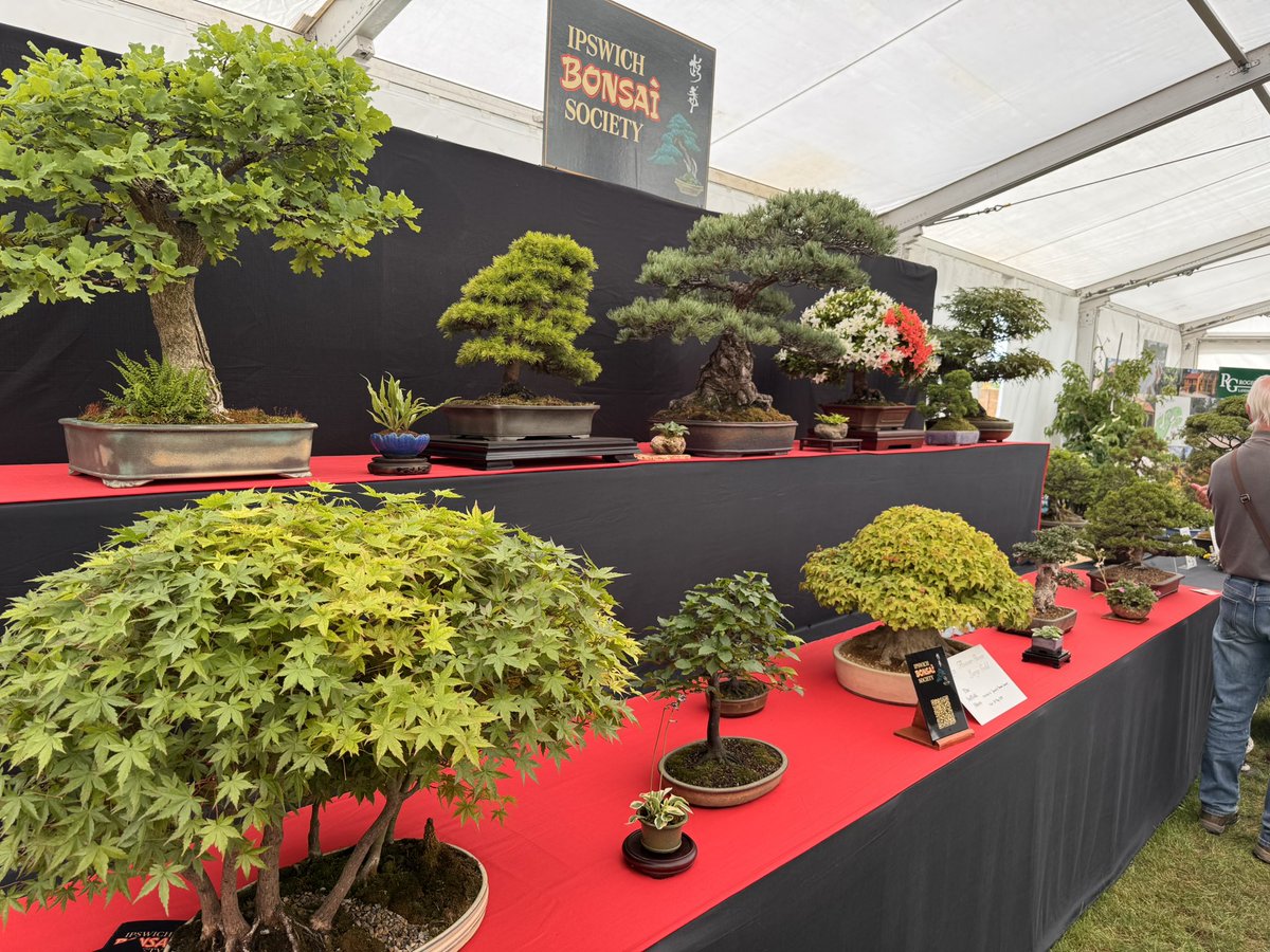 Tim Adkins tweet media