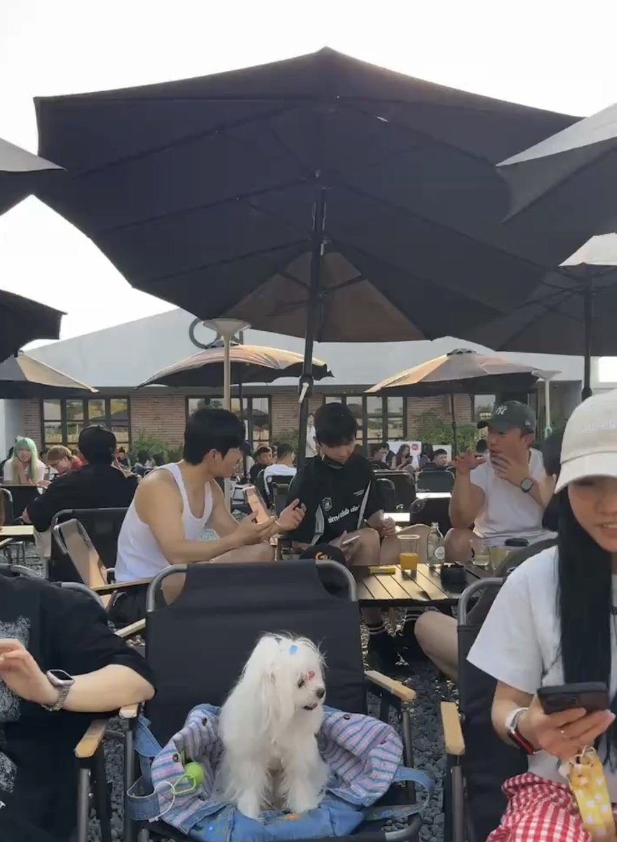 หยางให้สัมว่า ชอบดื่มน้ำอุ่น
ไปคาเฟ่นั่ง outdoor สั่งน้ำส้มไม่เย็น😂😂

ร้าน Onsite ที่ปักกิ่ง กับเลี่ยงเกอ และเมิ่งอาไช่