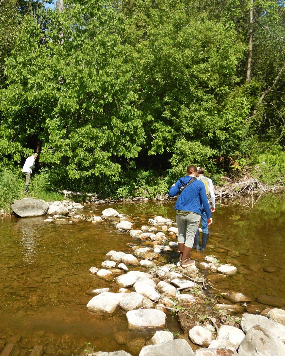 In just the 18 months we’re on track to complete 10 farmland protection projects spanning 1,157 acres. The Copeland Farm reminds us why we do it. Home to species at risk and wetlands, its soils make it ideal for growing a wide variety of crops.

 shorturl.at/5yzPx