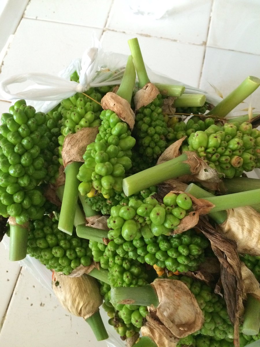 Basur (Hemeroid)kanamasında kesin çözüm.