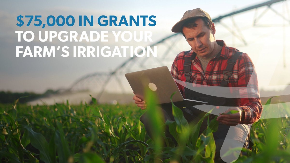 Get up to $75,000 in grants to upgrade your farm's irrigation.

Alberta's Water Program provides funding to help agricultural operations improve irrigation and manage water resources.

Visit bit.ly/44U2wQx to learn more.