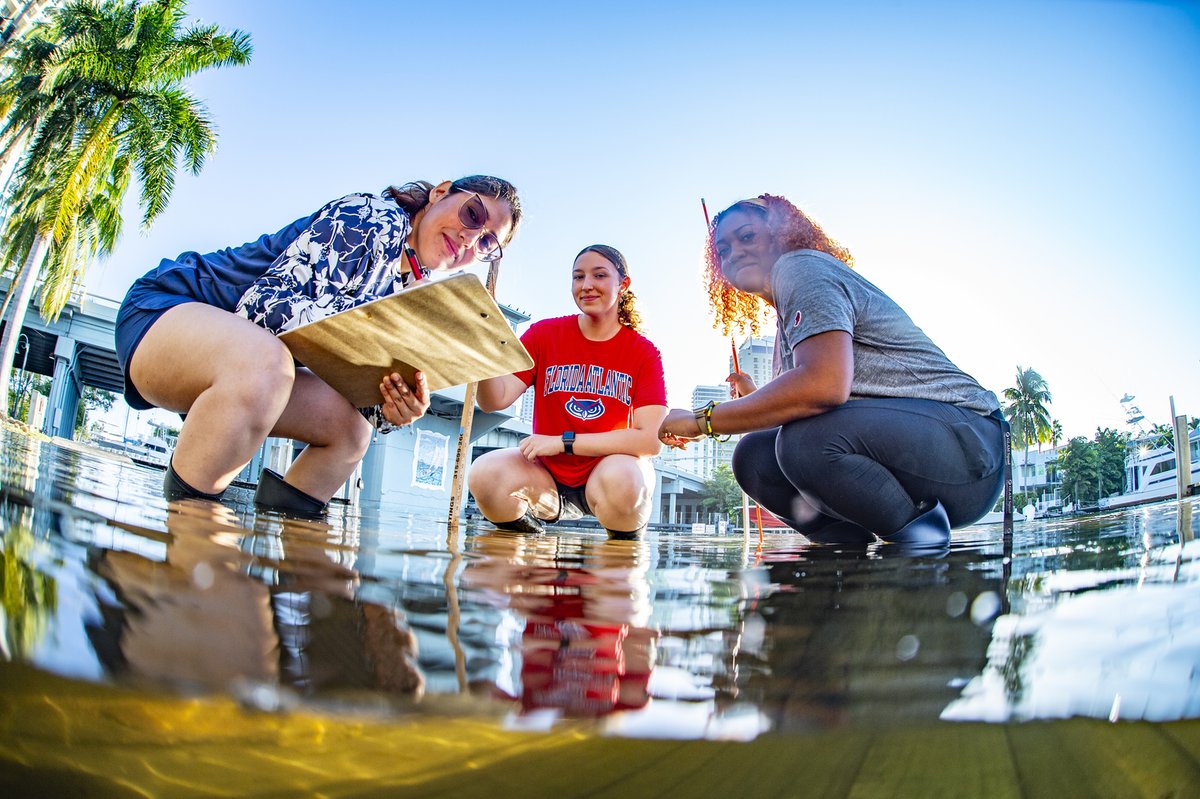 FAU Charles E. Schmidt College of Science (@fauscience) on Twitter photo <a href="/FAUScience/">FAU Charles E. Schmidt College of Science</a> and the College of Education were awarded a 2025 Capacity-Building Grant to support the development of “Building Character Education for <a href="/FloridaAtlantic/">Florida Atlantic University</a>’s Future Environmental Leaders, Educators, Advocates, Scientists, and Stewards." fau.edu/science/news/e… <a href="/FAUScience/">FAU Charles E. Schmidt College of Science</a> and the College of Education were awarded a 2025 Capacity-Building Grant to support the development of “Building Character Education for <a href="/FloridaAtlantic/">Florida Atlantic University</a>’s Future Environmental Leaders, Educators, Advocates, Scientists, and Stewards." fau.edu/science/news/e…