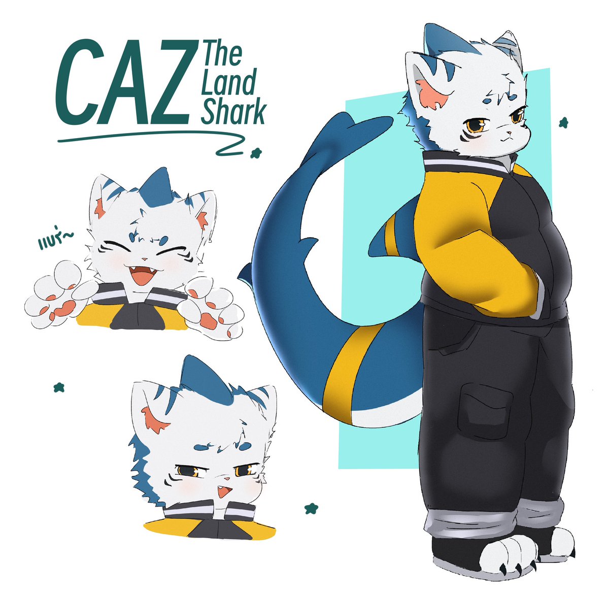 CAZ 🦈 tweet media