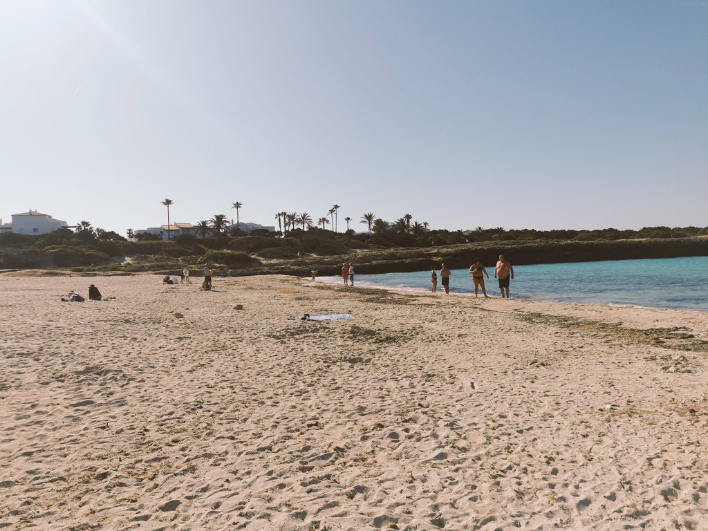 Returning from Menorca after a short holiday with the grandchildren for a rest 😴
Cala'n en Bosch is a lovely relaxing resort, quiet, small harbour and good restaurants 😃
The sunset was pretty spectacular too 😎
Audouins Gull and Egyptian Vulture birding highlights 👍