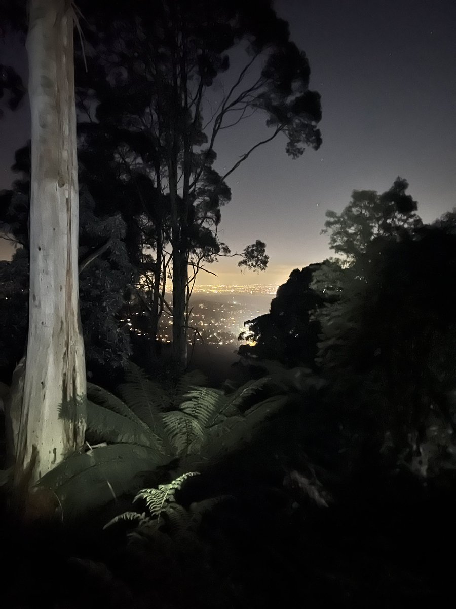 Dr Amit Sarwal 🇮🇳 🇦🇺 (@dramitsarwal) on Twitter photo What do you think about my photography skills? <a href="/Pallavi_Aus/">Pallavi Jain</a> <a href="/omdwivedi82/">omdwivedi82</a> <a href="/rishi_suri/">Rishi Suri</a> <a href="/RajSuri/">Raj Suri राज सूरी</a> What do you think about my photography skills? <a href="/Pallavi_Aus/">Pallavi Jain</a> <a href="/omdwivedi82/">omdwivedi82</a> <a href="/rishi_suri/">Rishi Suri</a> <a href="/RajSuri/">Raj Suri राज सूरी</a>