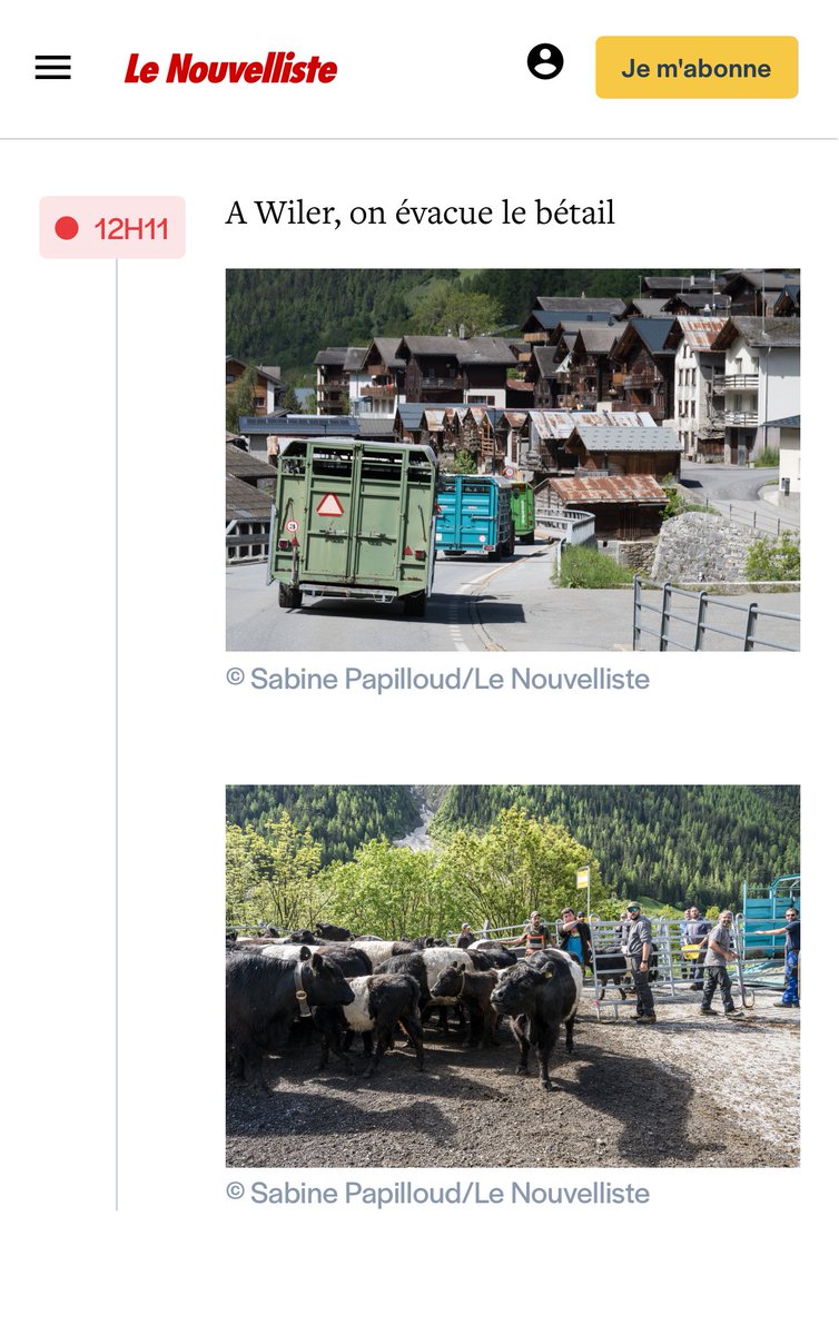 Swiss_Cathy's tweet photo. Évacuation du bétail à Wiler🐮
Source live Nouvelliste : https://t.co/Y9EGpHySh8
#Blatten #catastrophe #éboulement #glacier #Birch #rivière #Lonza #Gisentella #barrage #Ferden #évacuation #Wiler #Kippel #soutien #Loetschental #Oberwallis #HautValais #Valais #ValaisWallis #Suisse https://t.co/cQdRB6qTmk