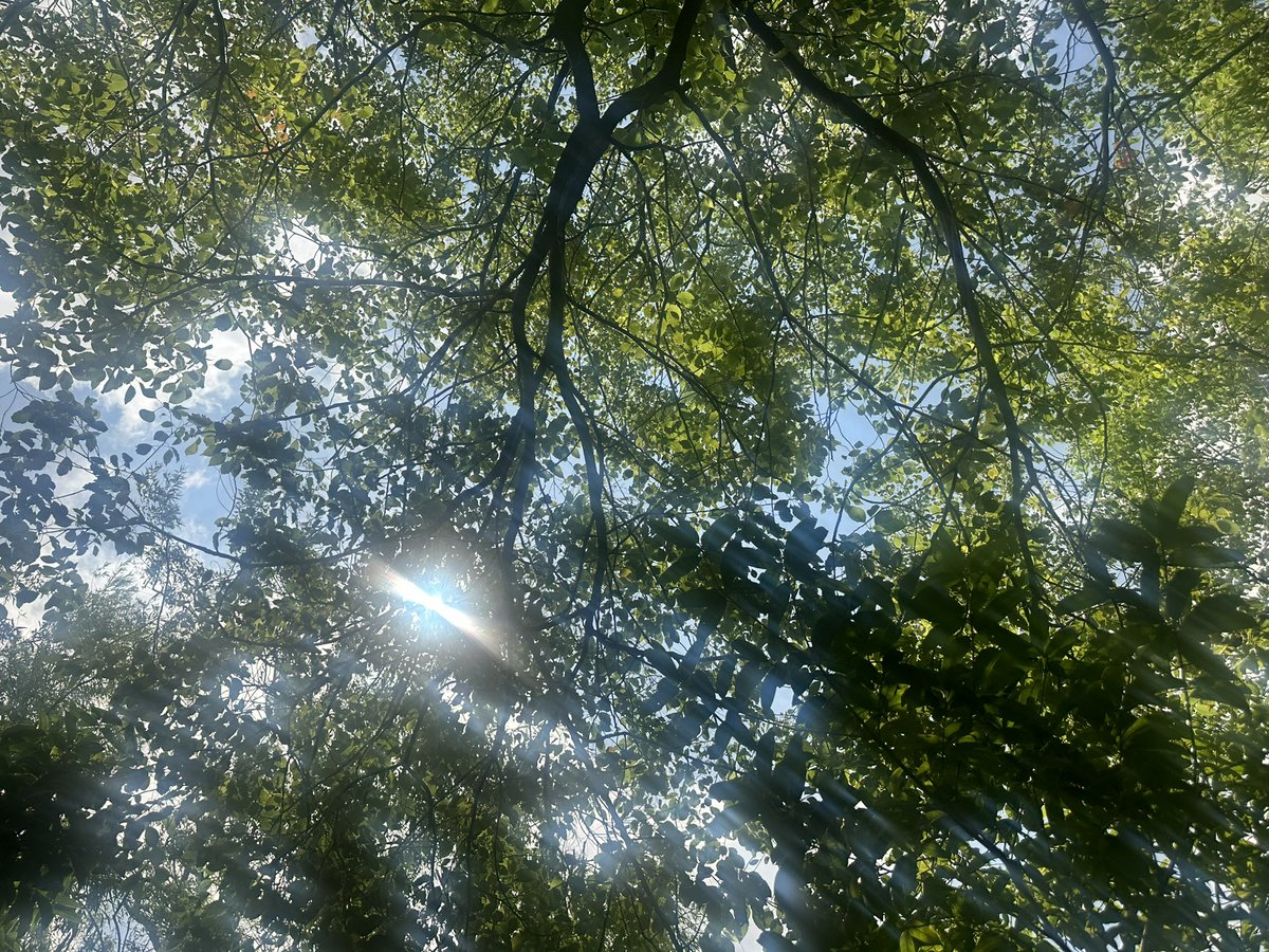 福利姬Blues分享的黄推图片2 - 网红私拍内容