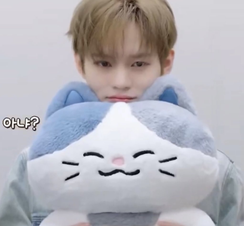 tiny_Iele's tweet image. chenle and lemyo 🩶