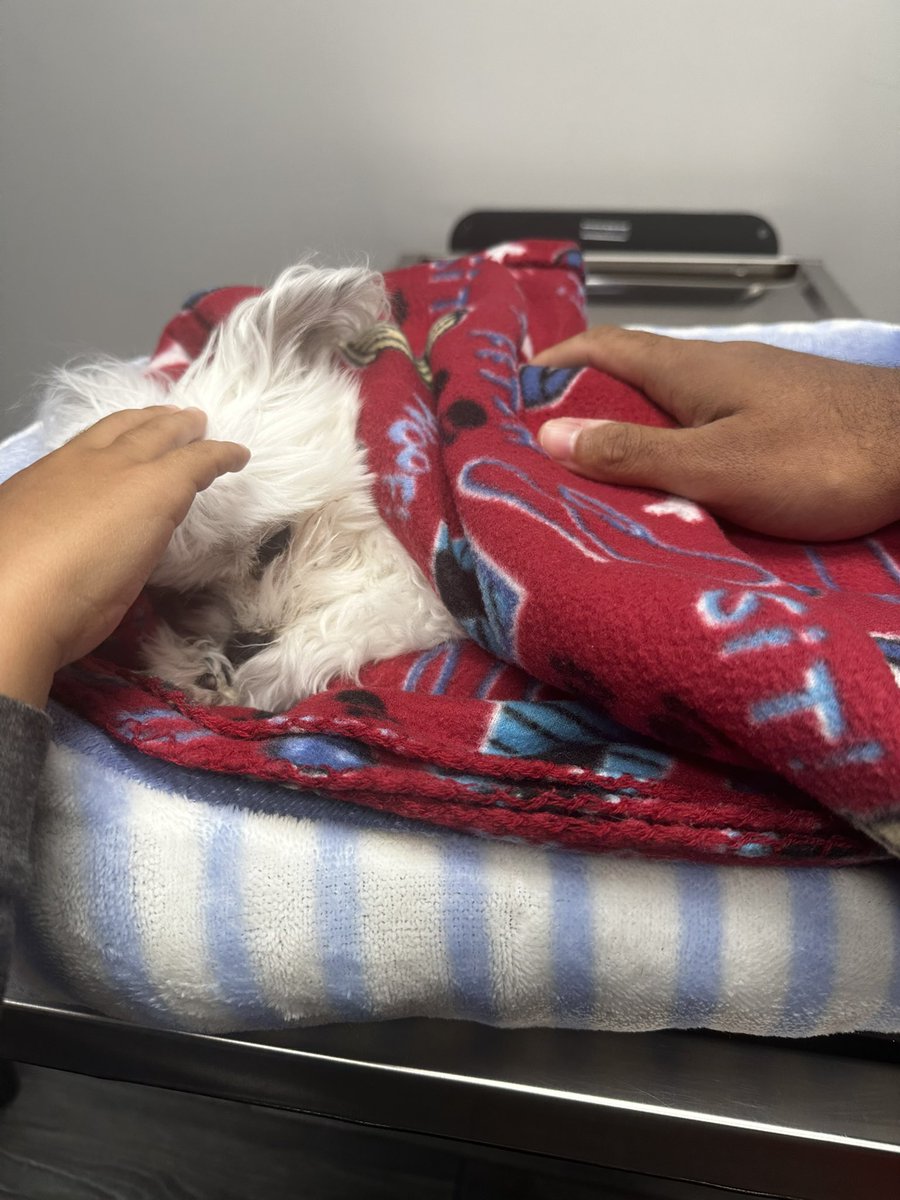 ⚡️Belz⚡️ tweet media