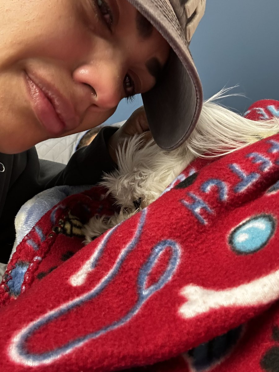 ⚡️Belz⚡️ tweet media