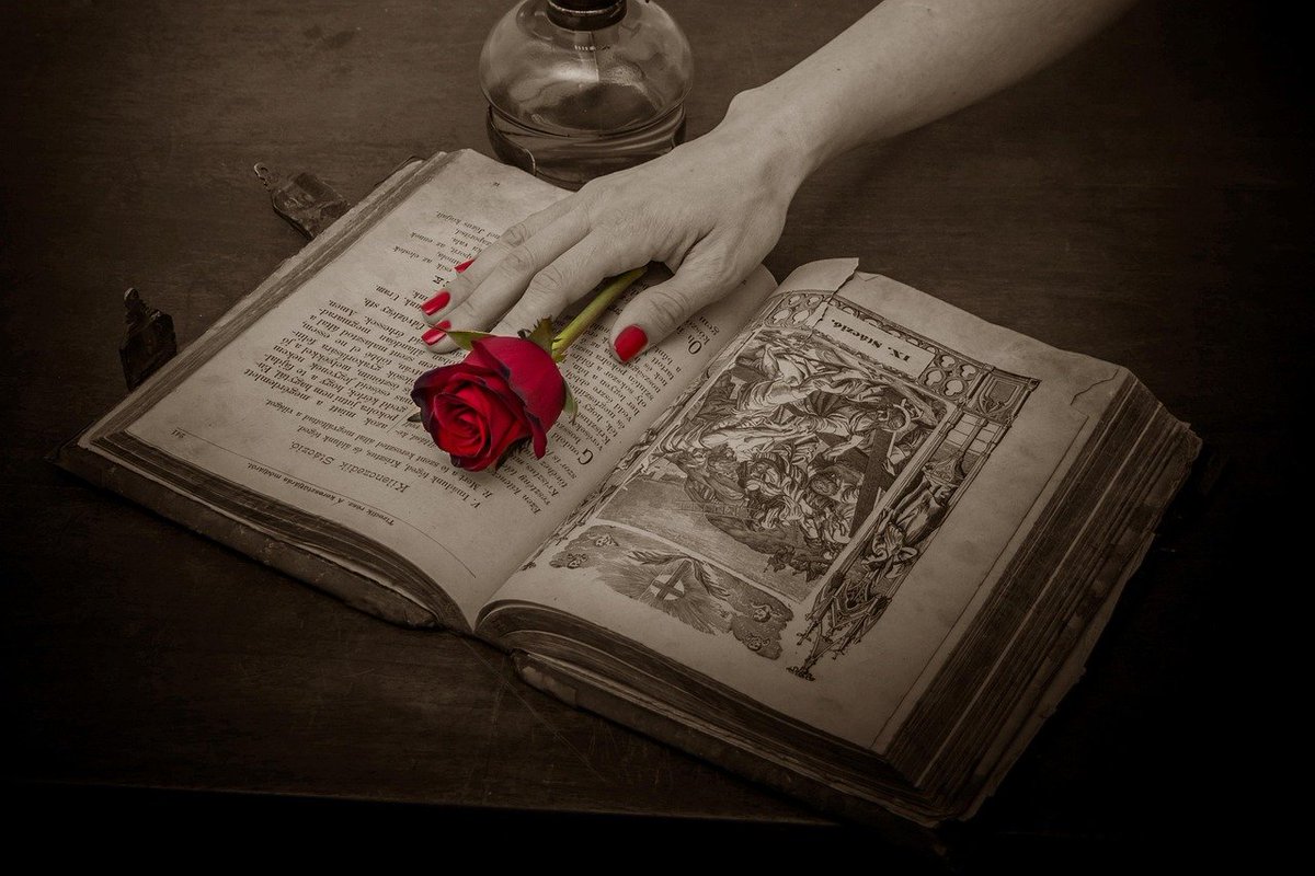 AngSaludGlobal's tweet photo. Qué pacífica sería la vida sin amor, Adso. Qué segura, qué tranquila... y qué insulsa.

El nombre de la rosa https://t.co/FikmhwNJIx